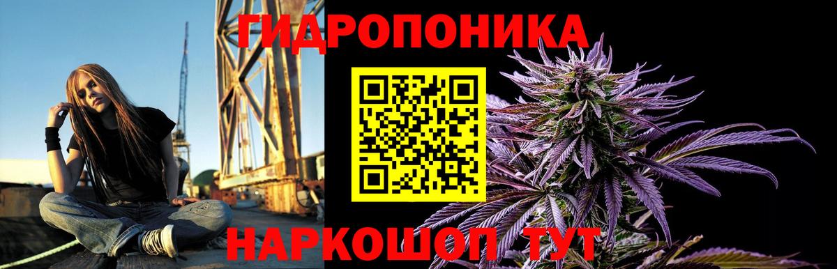 Шишки марихуана OG Kush  Вход с VPN  Шишки марихуана индика  Волжский 